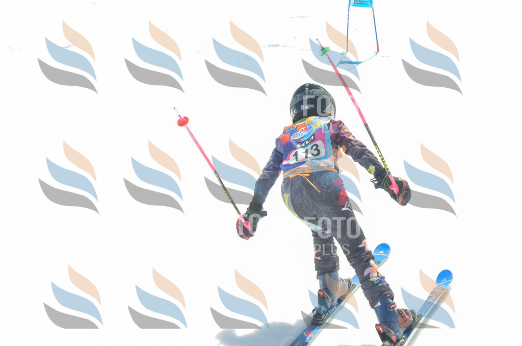 _ELE5933 | holidayphoto