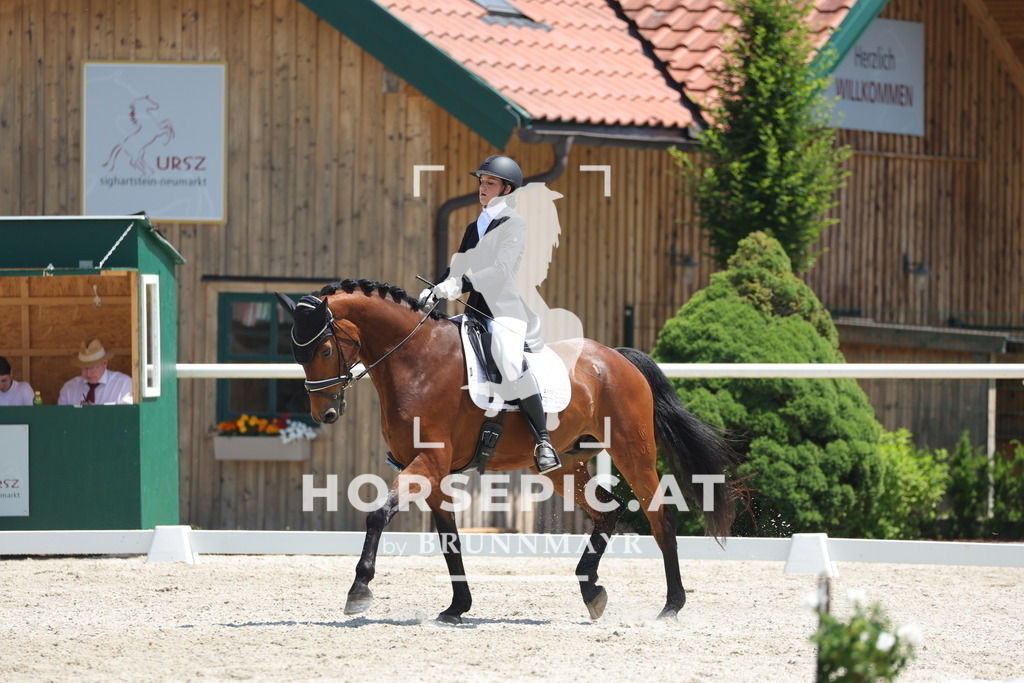 0P6A1614 | Willkommen bei Brunnmayr - Design & Fotografie – Ihrem Spezialisten für Reitturniere und Pferdeveranstaltungen in Oberösterreich, Salzburg und Bayern! Seit über 17 Jahren sind wir leidenschaftlich dabei.