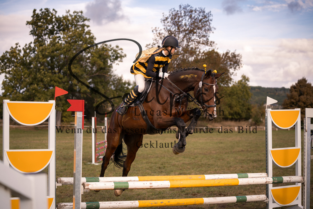 A7V06551 | Pferdefotograf