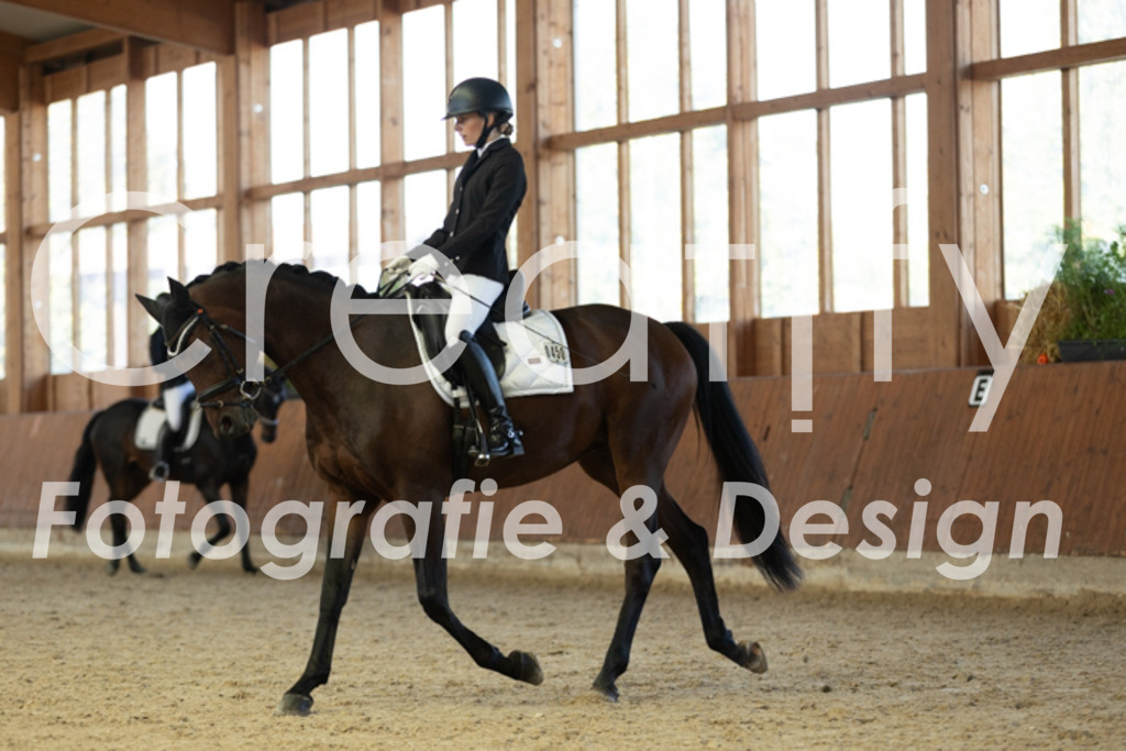 IMG_8642 | Creatify Fotografie