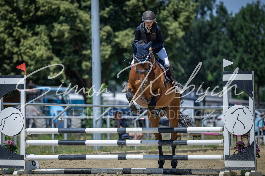 20260704-_3LI8396 | Tierfotografie Pferde, Hunde, Katzen, Haustiere.
Turnierfotografie Reitturniere, Reiten, Springreiten, Dressur in Hanau, dem Main-Kinzig-Kreis und dem Rhein-Main- Gebiet um Frankfurt