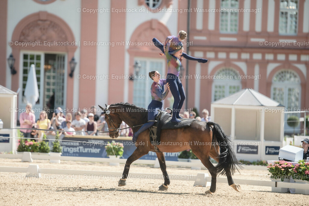 20230528_Voltigieren_NASPA_0496 | equistock
