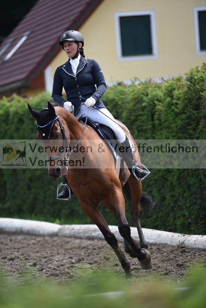 DSC_0538 | equestrian-live-com