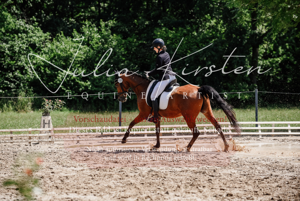 DSC_1890 | Pferde- und Turnierfotografie in Westsachsen. Pferdeportraits, Auftragszeichnungen und intuitive Kunst.