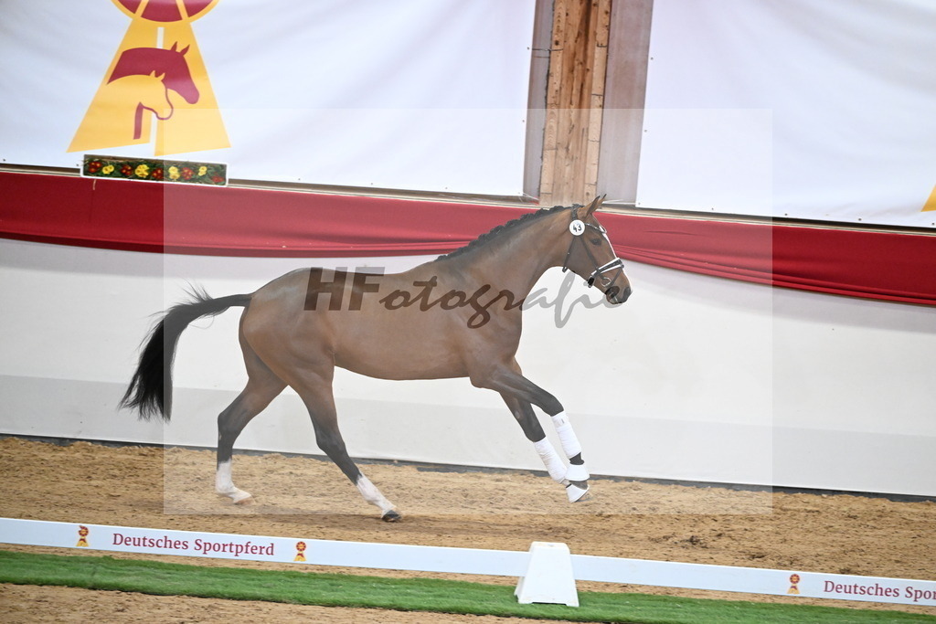 Kat.-Nr. 43 v. Benicio_Fleischmann_2250026 | hf-fotografie - Realisiert mit Pictrs.com