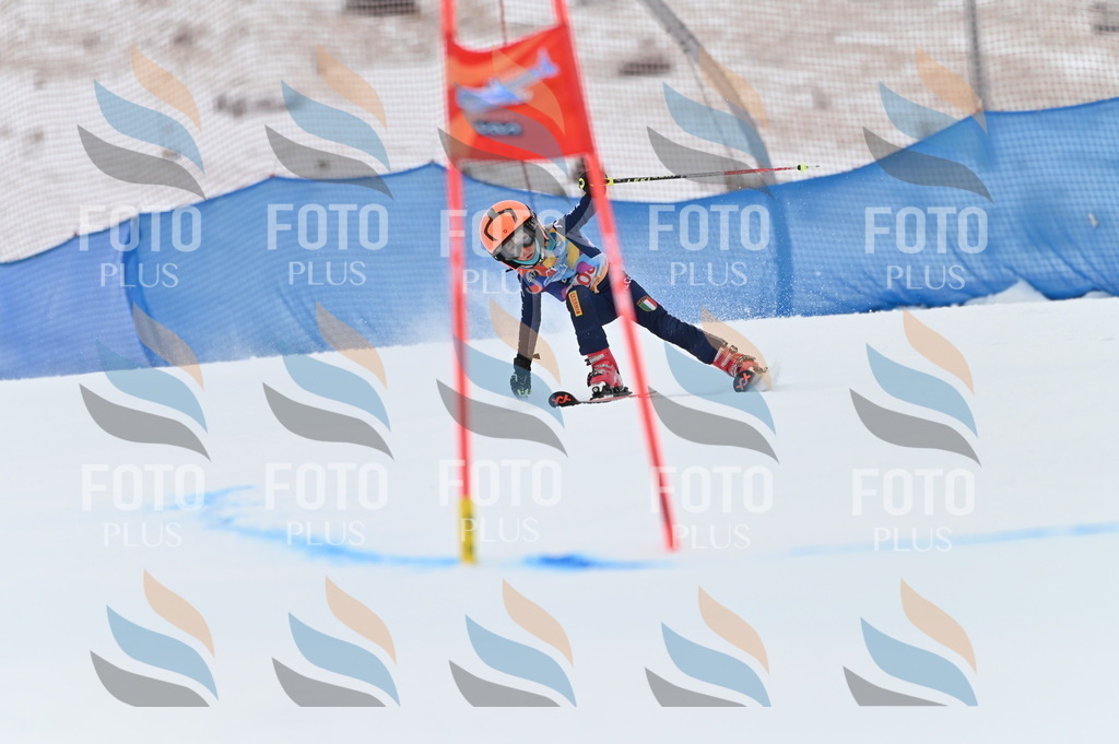 BGV_9383 | holidayphoto