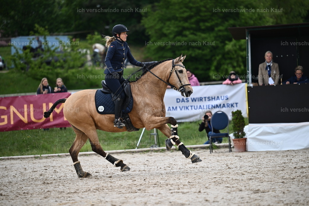 PI26_SP_Sara_Landvogt_226_4856.JPG | working equitationturnier fotograf videograf stoibphotography marixx film working equitation deutschland reitsport turnierfotografie eventfotografie equestrian events