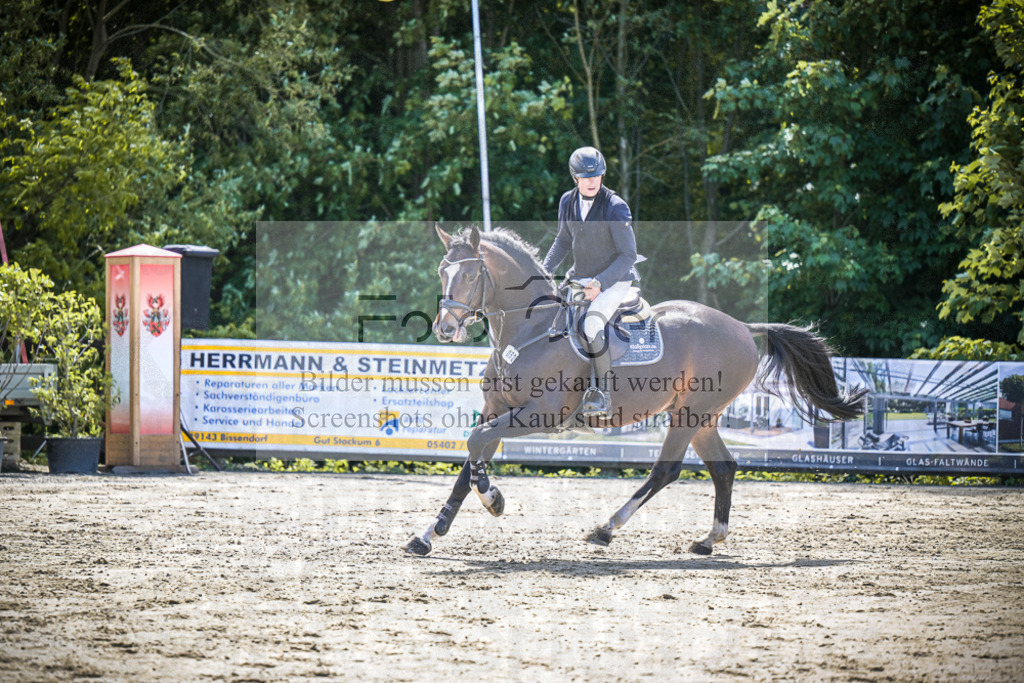 DOS_4131 | Entdecke hochwertige Reitturnierfotos von Foto Oger. Professionell, emotional und authentisch – jetzt Lieblingsmomente im Shop bestellen.Deutschlandweite Turnierfotografie. - Realisiert mit Pictrs.com