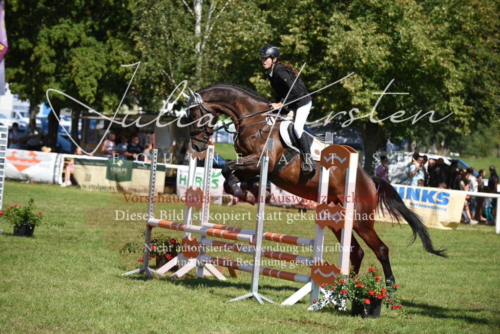 DSC_9448 | Pferde- und Turnierfotografie in Westsachsen. Pferdeportraits, Auftragszeichnungen und intuitive Kunst.