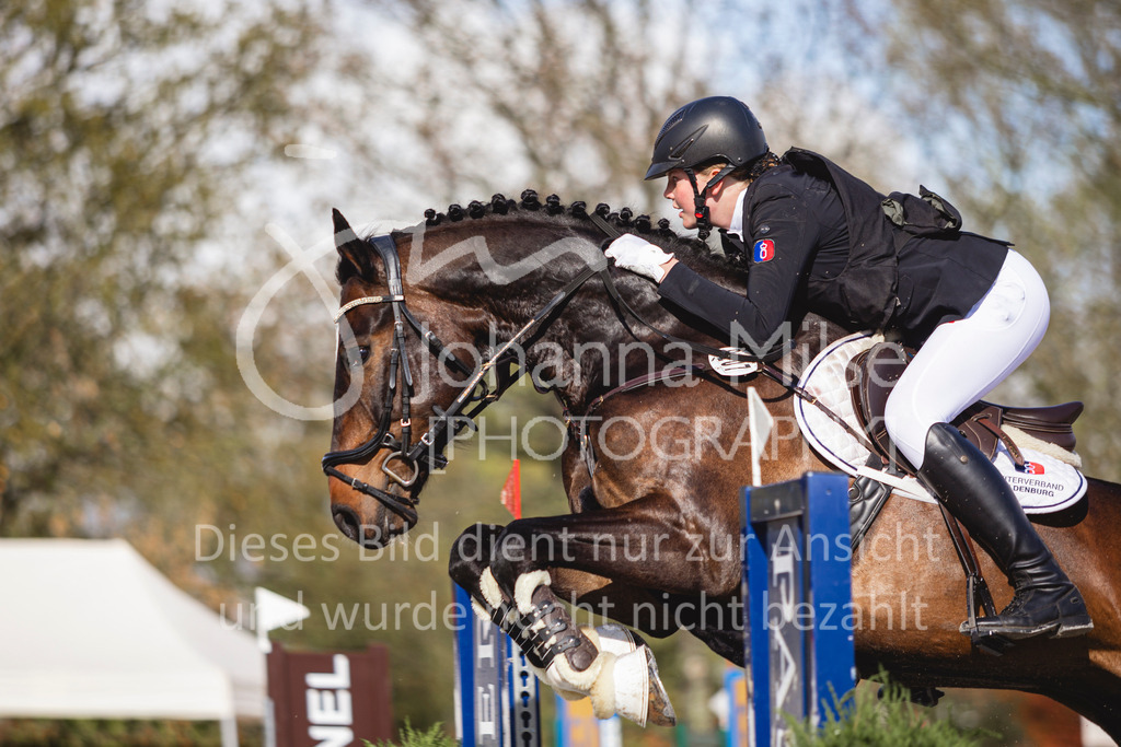 240424_Lemwerder_Stil-L-135 | Deine schönsten Turniermomente als professionelle Fotos! Entdecke hochwertige Pferdesport-Fotografie im Online-Shop. Jetzt Fotos finden & bestellen!