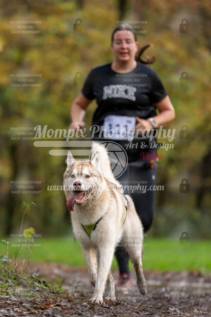 MompixPhotography_Bischwiller23_Canicross-101 | PayLife