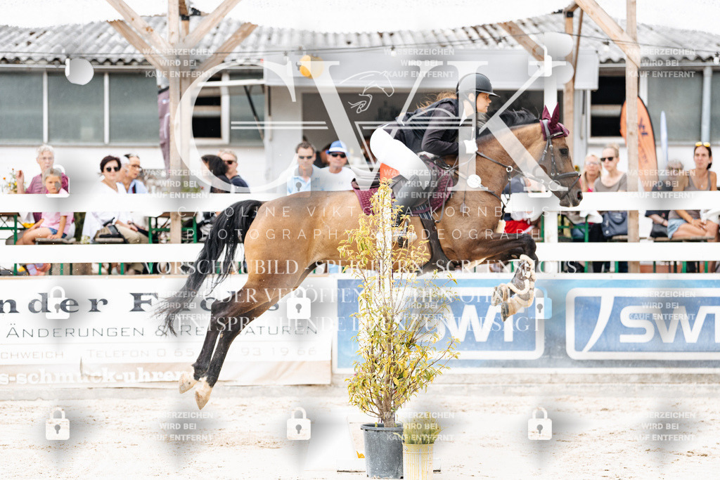 CK906164 | Turnierfotografie Pferdefotografie Trier Rheinland-Pfalz Pferdesport Reitsport Tierfotografie Sportfotografie Pferdevideo Pferdevideografie Equestrianvideography equestrianphotography  - Realisiert mit Pictrs.com