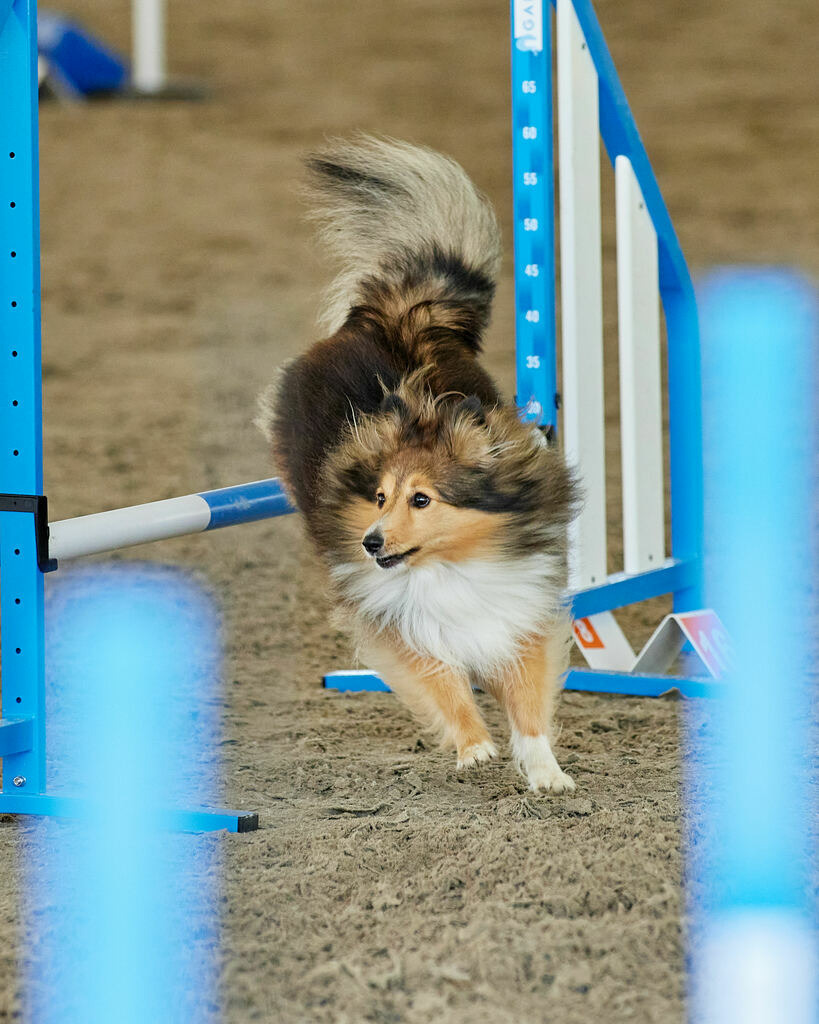 580B0115 | Peter Fridle Fotografie - Realisiert mit Pictrs.com