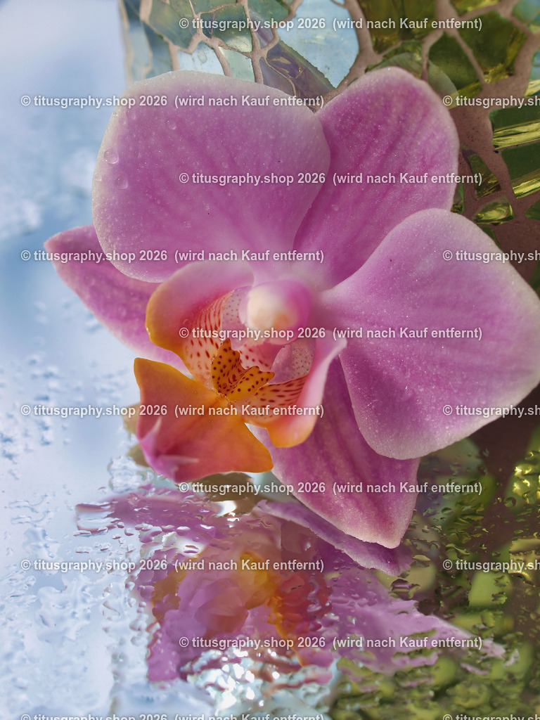 titusgraphy_P8040093-vz-ln | titusgraphy-shop: Geschenkideen mit Qualitätsfotos. titusgraphy-shop: gift ideas with quality photos. titusgraphy-shop: idées cadeaux avec photos de qualité.  - Realisiert mit Pictrs.com