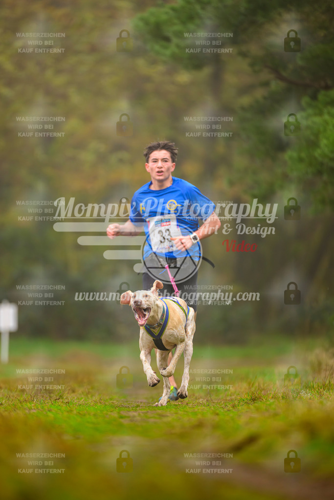 MompixPhotography_Bischwiller2025_Canicross-1 | mompixphotography