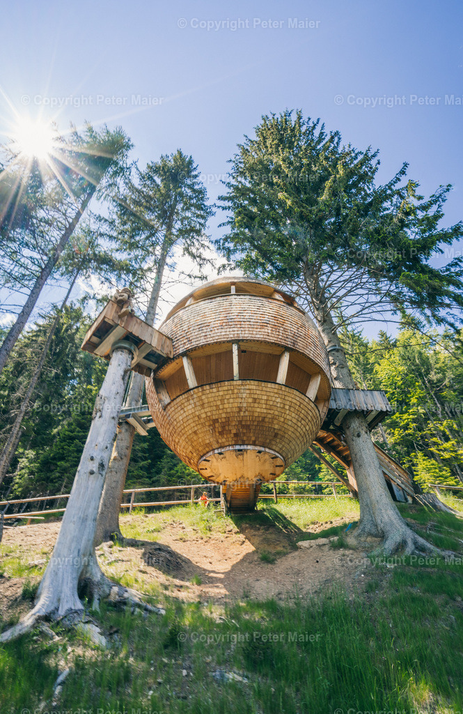 Malga_Priu_Karnische_Milchstrasse_2020-46 | piet_flosse