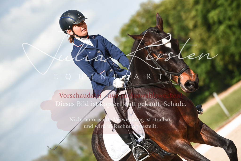 20230518_JK-Röhrsdorf-12-0312 | Pferde- und Turnierfotografie in Westsachsen. Pferdeportraits, Auftragszeichnungen und intuitive Kunst.