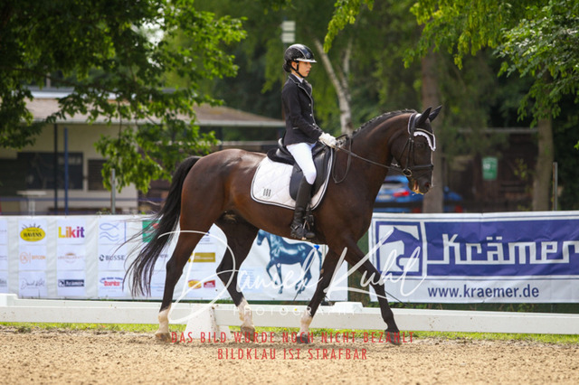 DKP42071 | Turniersportfotografie; Pferdefotografie; Dressurfotografie