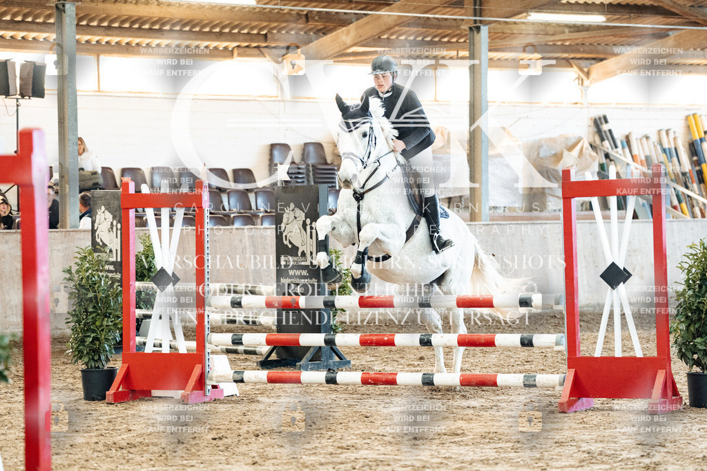 CK904474 | Turnierfotografie Pferdefotografie Trier Rheinland-Pfalz Pferdesport Reitsport Tierfotografie Sportfotografie Pferdevideo Pferdevideografie Equestrianvideography equestrianphotography  - Realisiert mit Pictrs.com