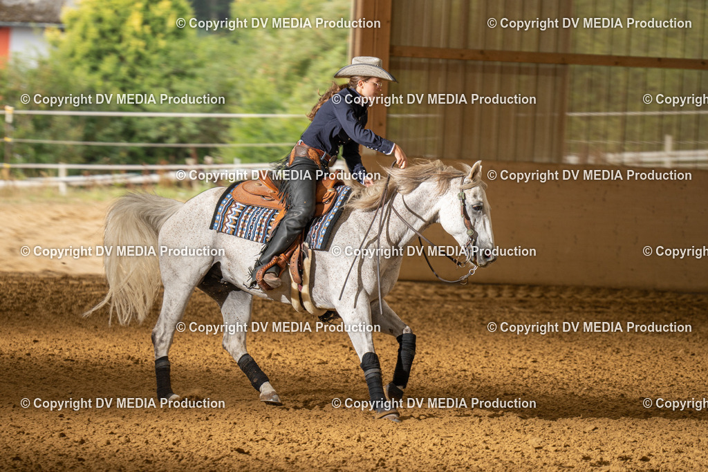 LAU01375 | dv-media-shop - Realisiert mit Pictrs.com