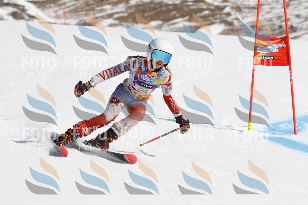 _U3G9465 | holidayphoto