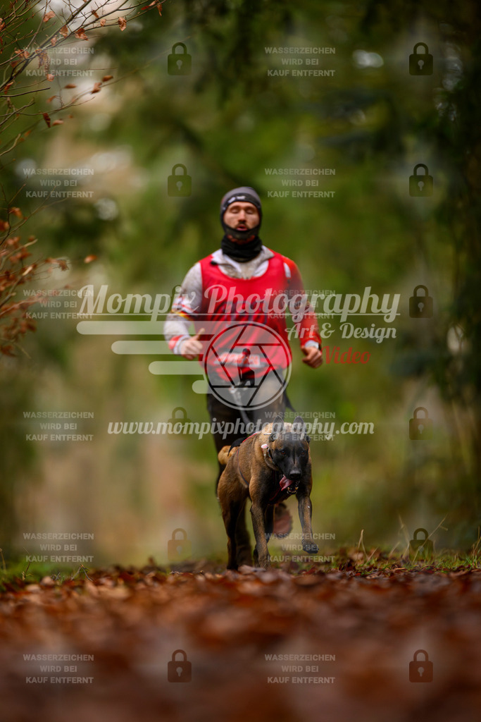 MompixPhotography_2SSTSSBW_2025_SO_Canicross-62 | PayLife