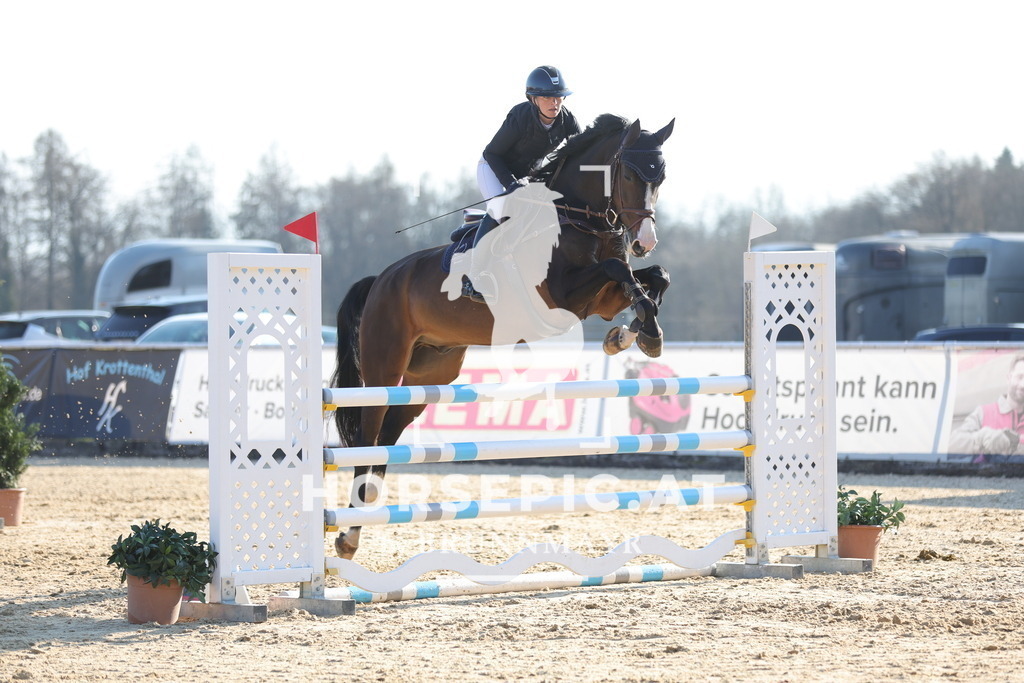 0P6A9215 | Willkommen bei Brunnmayr - Design & Fotografie – Ihrem Spezialisten für Reitturniere und Pferdeveranstaltungen in Oberösterreich, Salzburg und Bayern! Seit über 17 Jahren sind wir leidenschaftlich dabei.