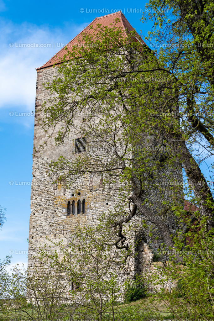 10049-12461 - Burg Querfurt - Sachsen-Anhalt | Stockfoto und Bilderpool mit Bildmaterial aus Deutschland, dem Harz, Halberstadt, Quedlinburg, Wernigerode und weltweit. Qualitativ hochwertige und professionelle Fotos anschauen und kaufen. - Realisiert mit Pictrs.com