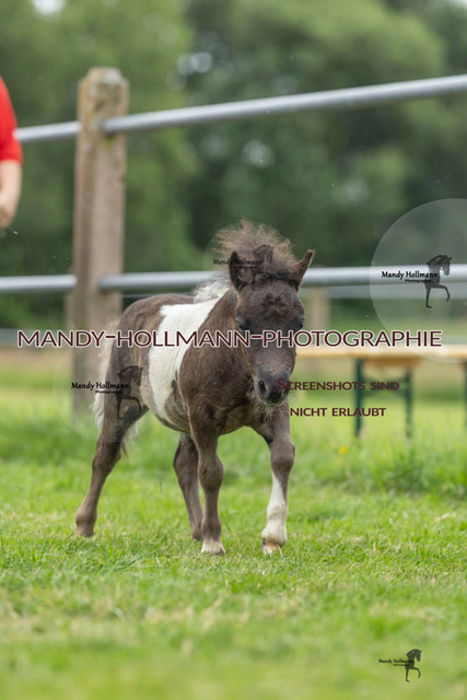 FS Timmel  26 (95 von 683) | mandyhollmannphotographie