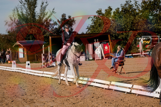 2026_10_03_Siefer-Hof_122719_Z63_48397095 | Professionelle Reitsport-, Turnier- und Eventfotografie von Robert Broda. Galerien mit ausgewählten und bearbeiteten Bildern direkt online ansehen und bestellen.