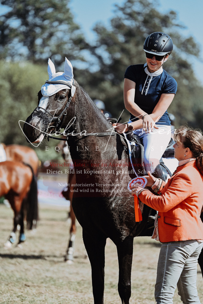 DSC_0090 | Pferde- und Turnierfotografie in Westsachsen. Pferdeportraits, Auftragszeichnungen und intuitive Kunst.
