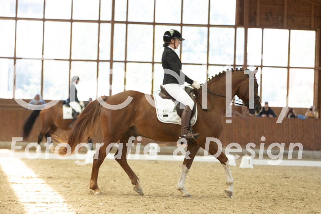 IMG_4815 | Creatify Fotografie