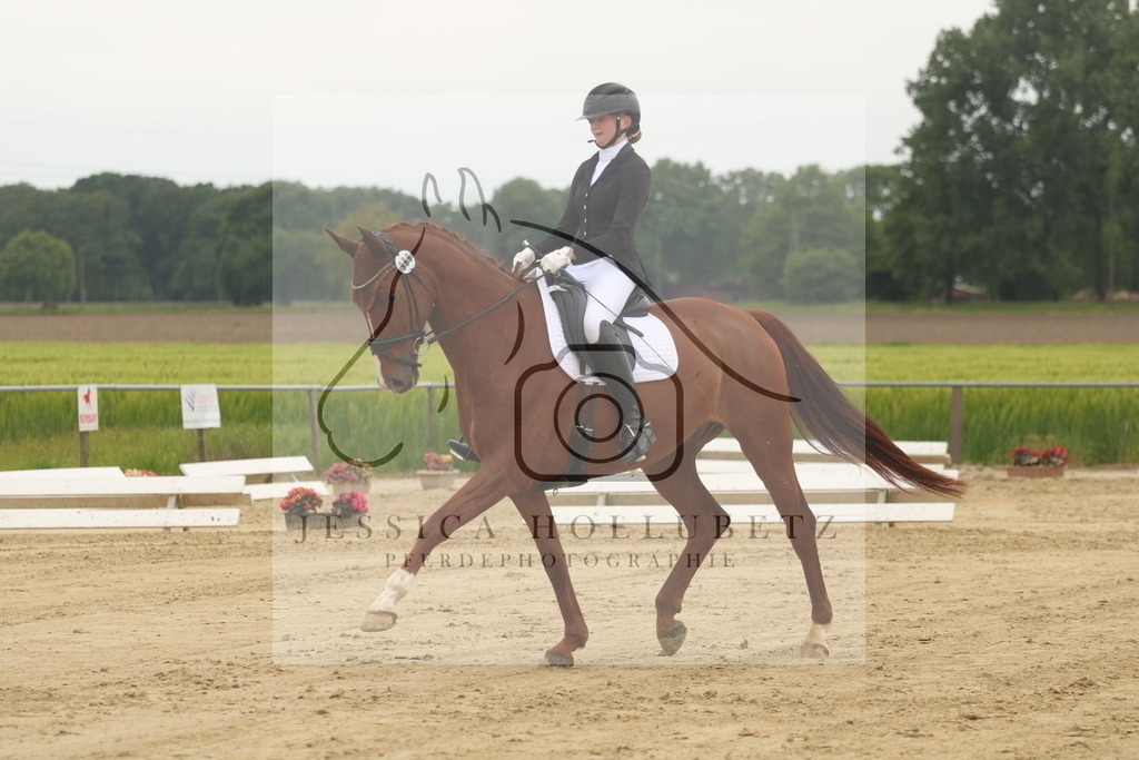 IMG_6745 | jessicahollubetz_pferdephotographie - Realisiert mit Pictrs.com