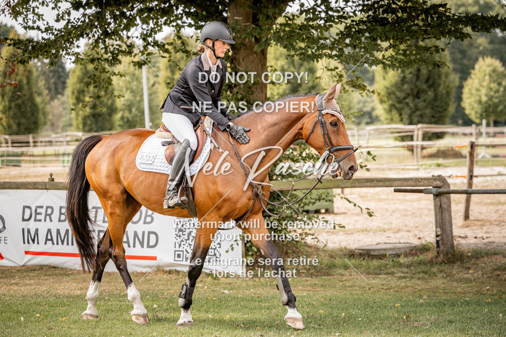 nelerasche_SprA_90Ede_46 | nelerasche