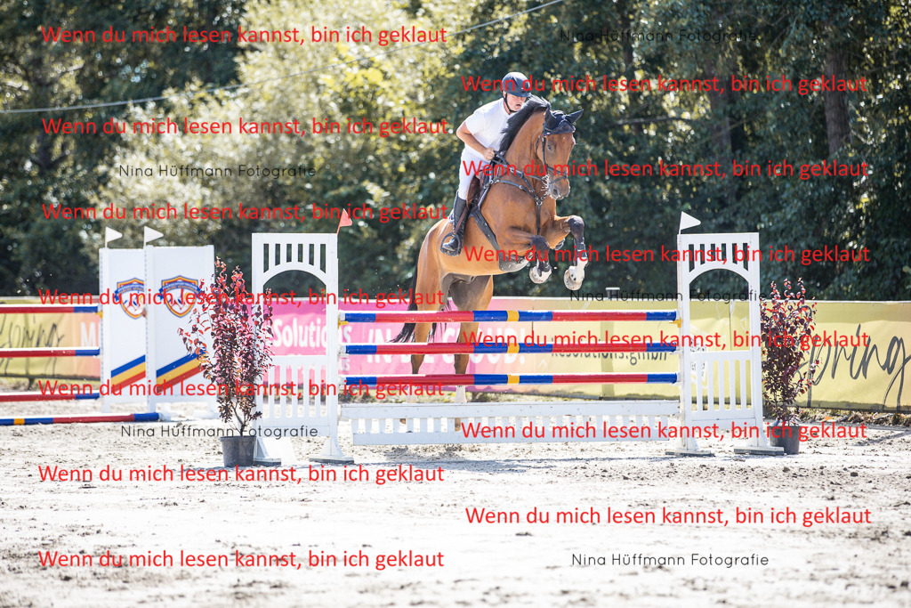 BK1A6471 | Turnierbilder Turnierfotos Nina Hüffmann Turnierfotografie Pferdefotografie Tierzeichnung Haustierzeichnung Pferdezeichnung Hundezeichnung Videograf  - Realisiert mit Pictrs.com