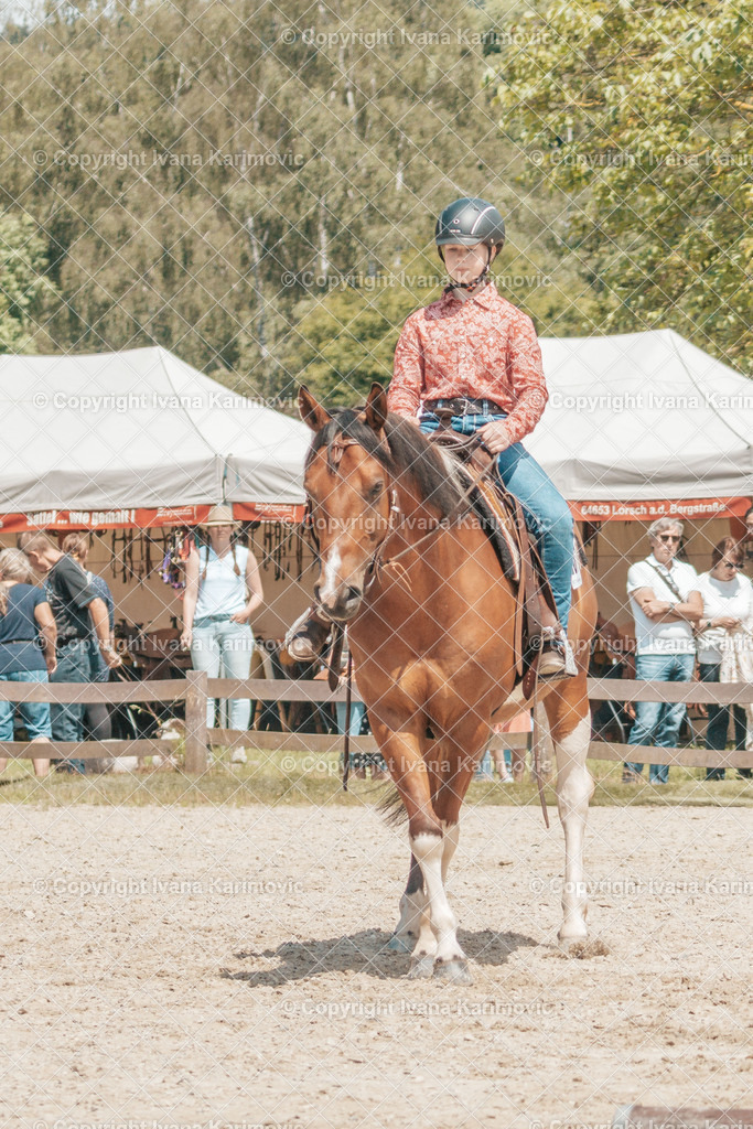 DSC02047 | ikphotography - Realisiert mit Pictrs.com