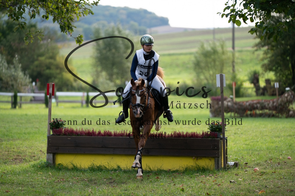 A7V03113 | Turnier/Reitfotograf