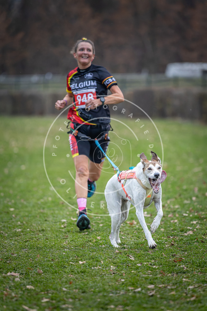 CaniXpix_DV3A7318 | Hundefotografie, Tierfotograf, Pfotenfotografie, Fotoshooting Hund, Hunde Portrait, Hundesport, Hundeportraits, Heideshooting, Hunde, Sportfotograf, Hundefotograf, Turnierhundsport, THS,  - Realisiert mit Pictrs.com