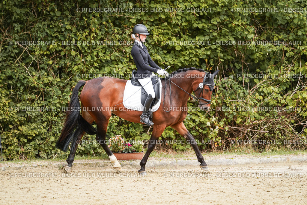 DSC00578 | Pferdegrafie