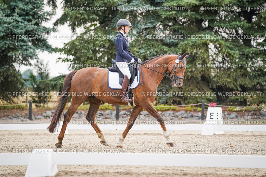 DSC00421 | Pferdegrafie