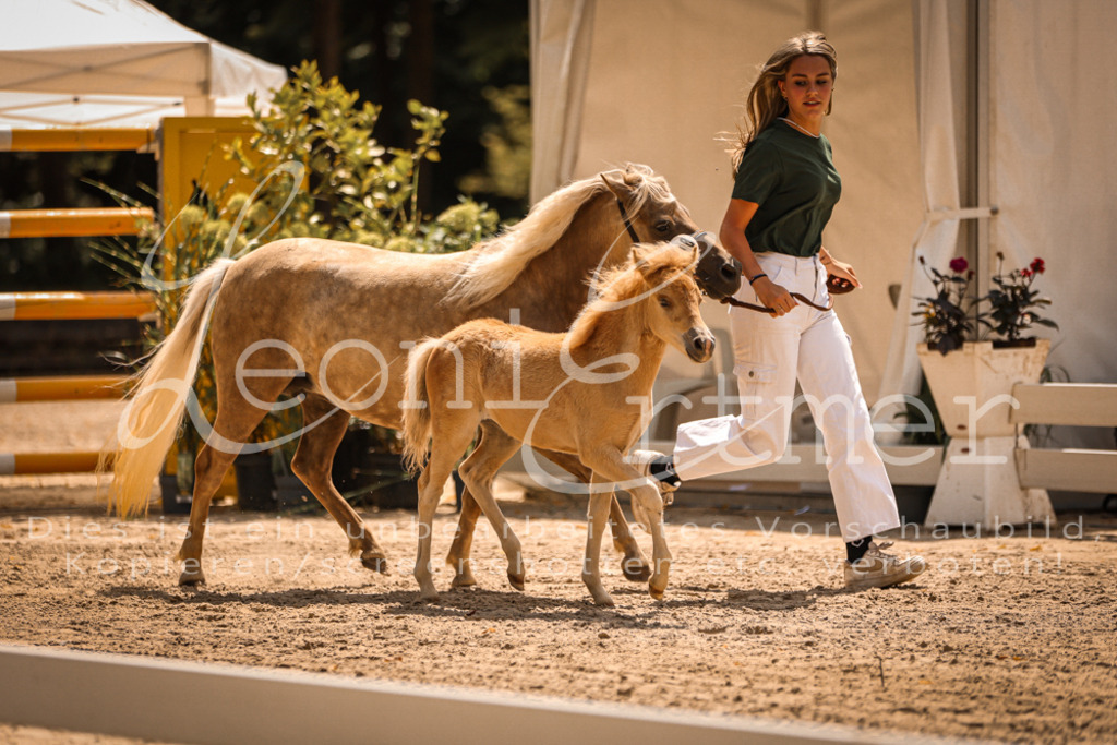 02.DoSR00040 | Leoni Ertmer Photography - Realisiert mit Pictrs.com