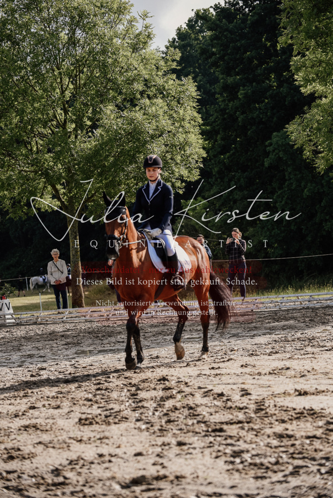 DSC_8478 | Pferde- und Turnierfotografie in Westsachsen. Pferdeportraits, Auftragszeichnungen und intuitive Kunst.