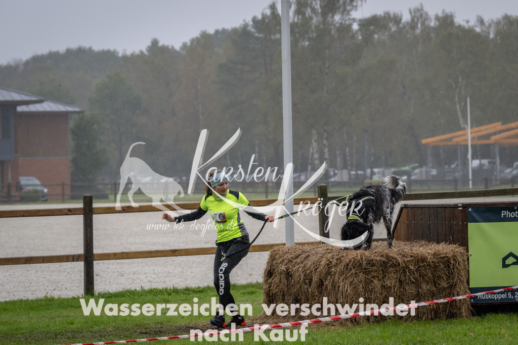 1256-92803 | kk-dogfotos