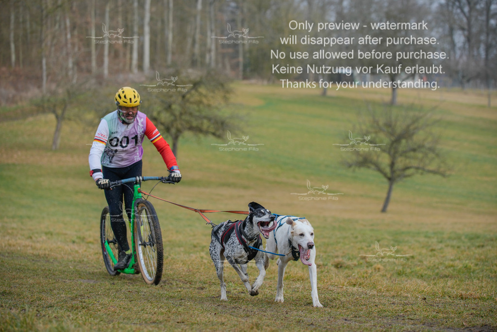 Sa_Scooter2-4 | stephaniefillaphotographie - Realisiert mit Pictrs.com