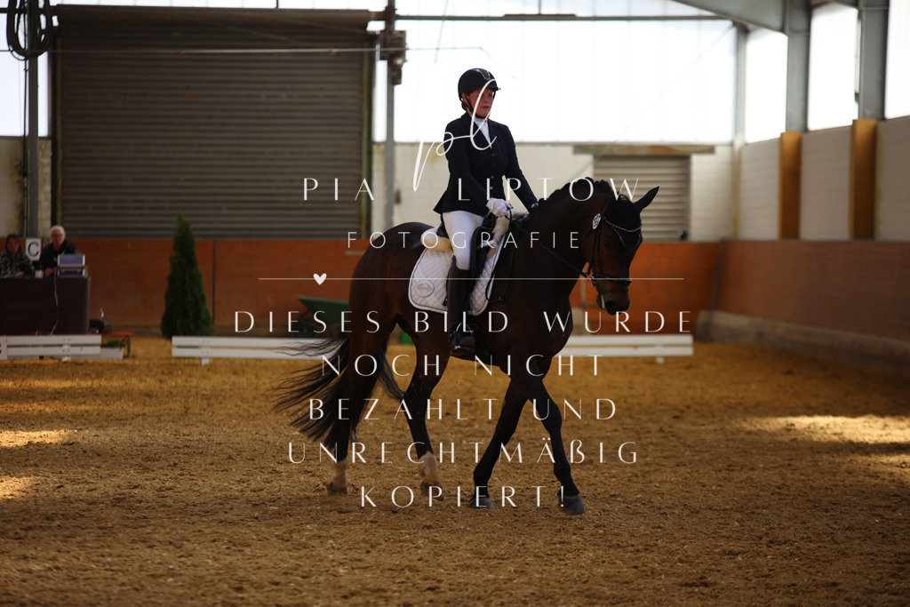 IMGT4823 | pl-fotografie