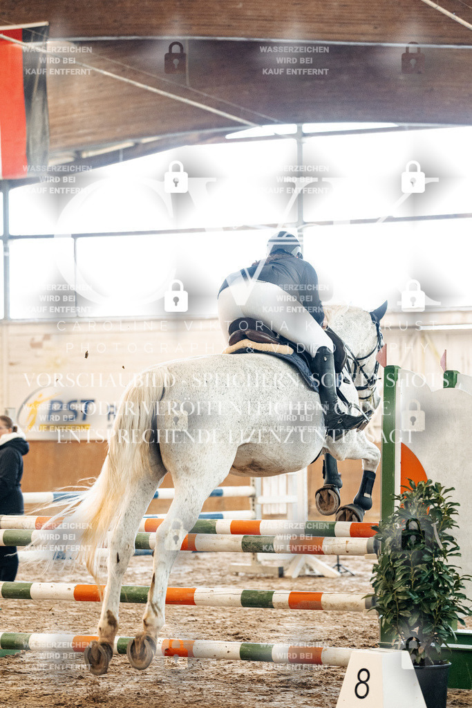 CK904492 | Turnierfotografie Pferdefotografie Trier Rheinland-Pfalz Pferdesport Reitsport Tierfotografie Sportfotografie Pferdevideo Pferdevideografie Equestrianvideography equestrianphotography  - Realized with Pictrs.com