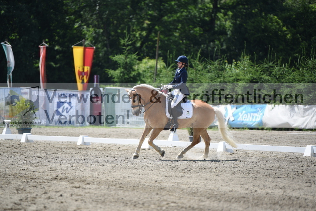 DSC_1053 | equestrian-live-com