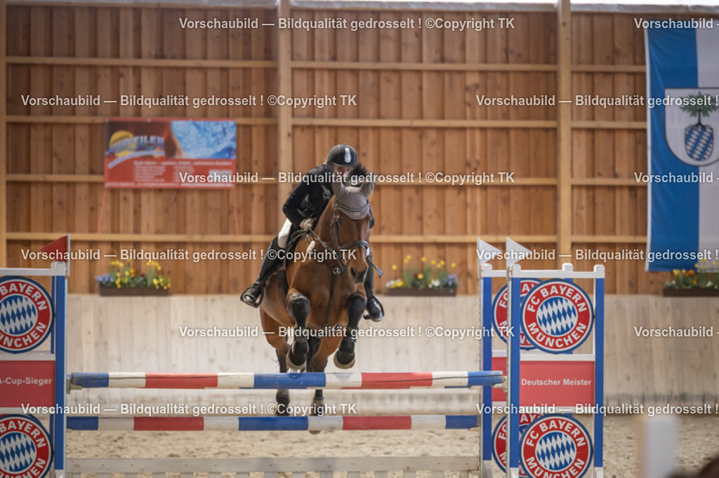 _D5A8688 | Emotionale Pferde- & People-Fotografie rund um Heidelberg, Leimen & Umgebung. Natürliche Fotos von Pferd, Mensch & Familie. Jetzt Termin sichern!