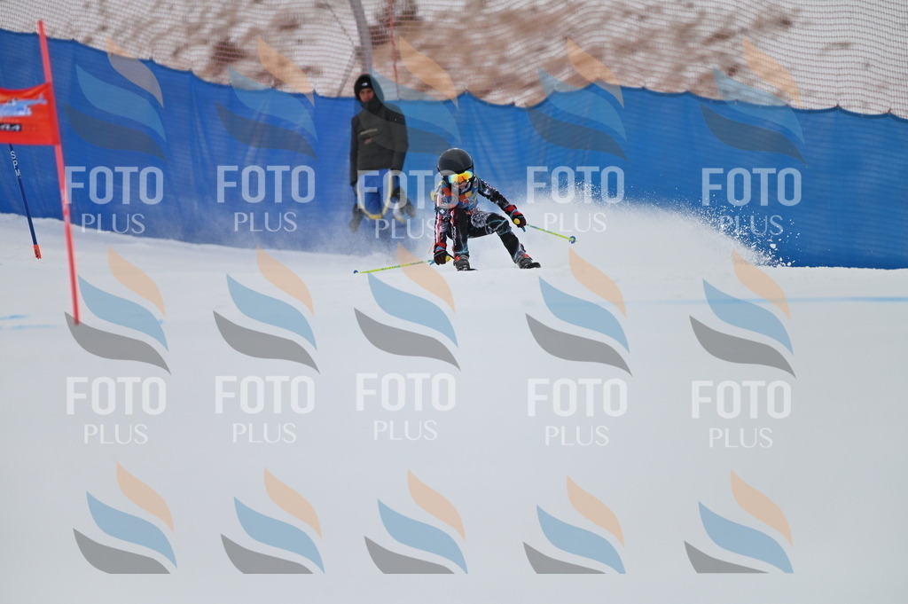 BGV_0352 | holidayphoto