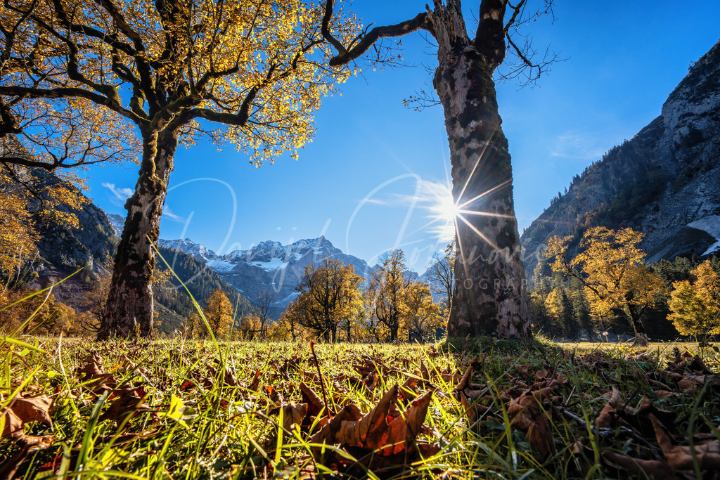 Großer Ahornboden | Herbst am Großen Ahornboden